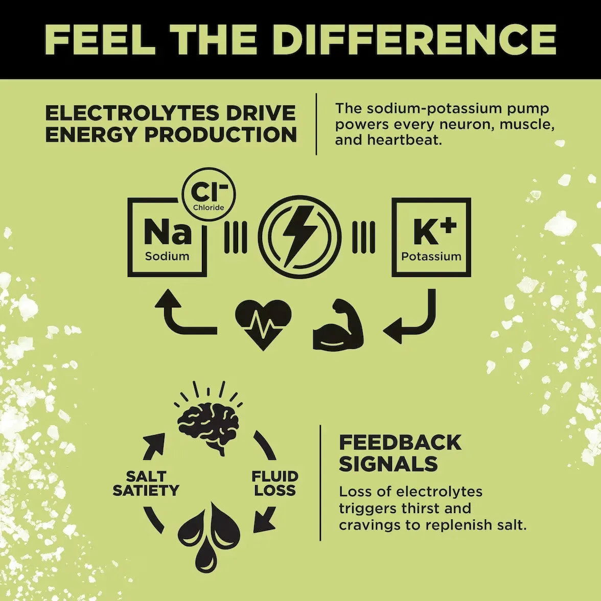 LMNT Zero-Sugar Electrolytes(Citrus Salt)